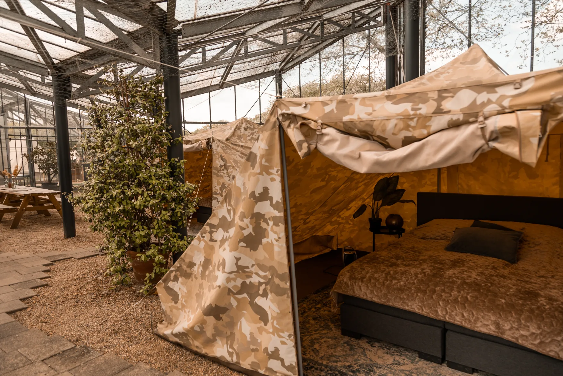 3x tweepersoons tent in een kas mét hottub