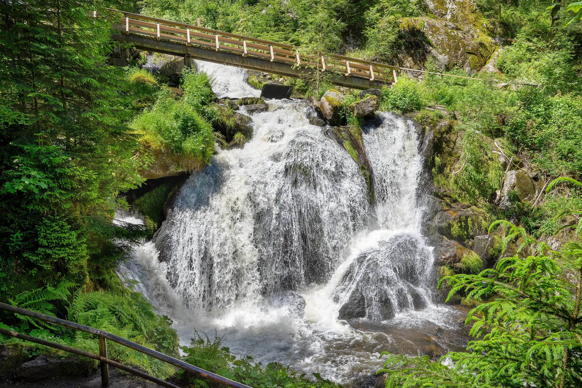 De Moezel, het Zwarte Woud en het Sauerland op het gemak