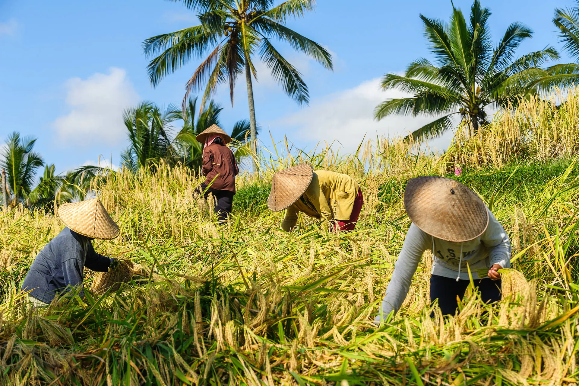 Traditioneel Bali