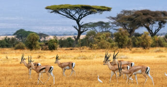 Vakantie-inspiratie uit Zuid-Afrika