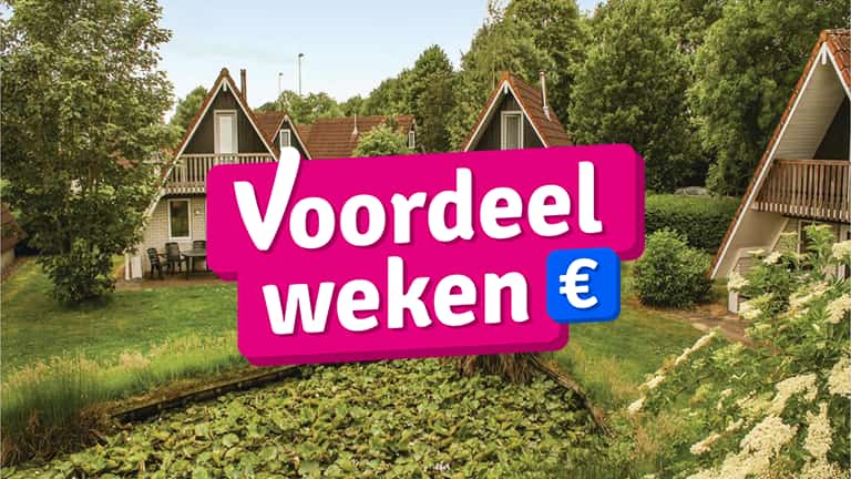 't Hooge Holt